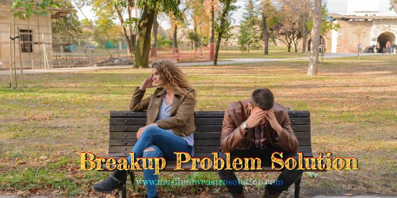 Breakup Problem Solution astrologer Pandit Ji