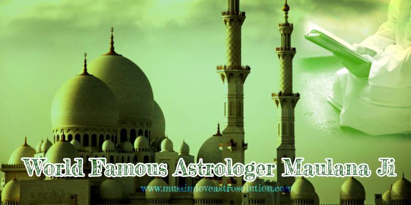 World Famous Astrologer Maulana Ji